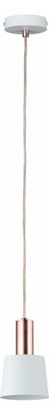 Paulmann 79656 - 1xE14/20W Lustr na lanku NEORDIC HALDAR 230V