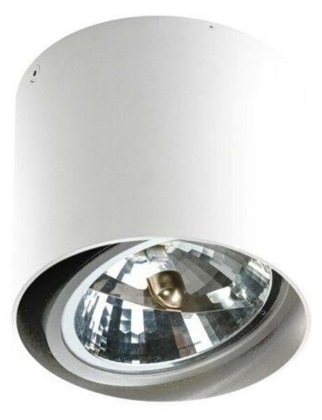 Stropní přisazené bodové svítidlo AZzardo Alix white Az1356 QR111 G53 1x50W IP20 12V 13cm bílé