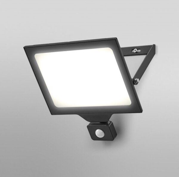 Ledvance - LED Venkovní reflektor se senzorem FLOODLIGHT LED/100W/230V IP44
