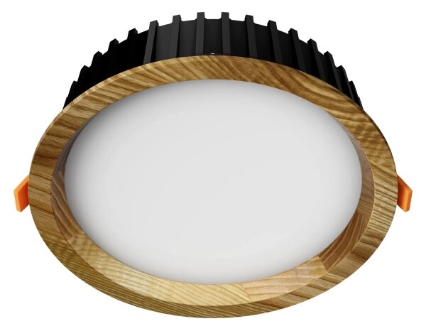 APLED - LED Podhledové RONDO WOODLINE LED/6W/230V 4000K pr. 15 cm jasan masiv