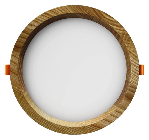 APLED - LED Podhledové RONDO WOODLINE LED/6W/230V 4000K pr. 15 cm jasan masiv