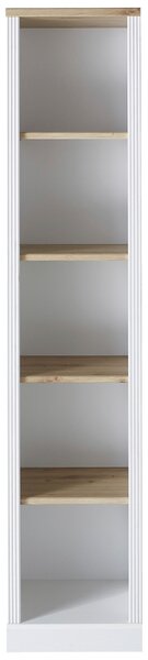 REGÁL NA DOKUMENTY, dub artisan, barvy pinie, 43/204/38 cm Carryhome - Online Only kancelářský nábytek, Online Only