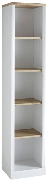 REGÁL NA DOKUMENTY, dub artisan, barvy pinie, 43/204/38 cm Carryhome - Online Only kancelářský nábytek, Online Only