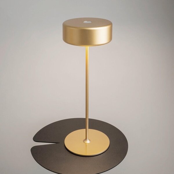 STOLNÍ LAMPA NA BATERIE, dotykový stmívač, 12/34,5 cm MAYTONI - Online Only svítidla, Online Only