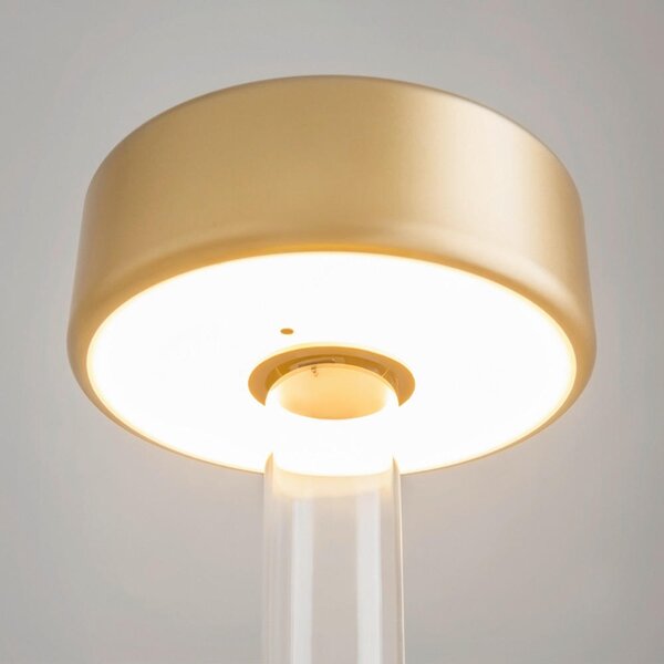 STOLNÍ LAMPA NA BATERIE, dotykový stmívač, 12/34,8 cm MAYTONI - Online Only svítidla, Online Only