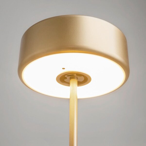 STOLNÍ LAMPA NA BATERIE, dotykový stmívač, 12/34,5 cm MAYTONI - Online Only svítidla, Online Only