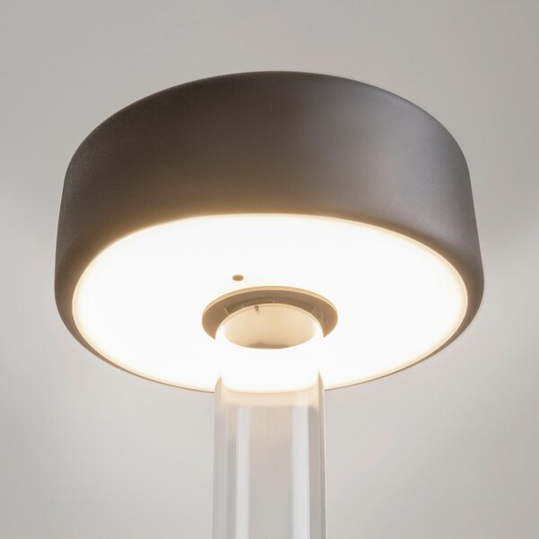 STOLNÍ LAMPA NA BATERIE, dotykový stmívač, 12/34,8 cm MAYTONI - Online Only svítidla, Online Only