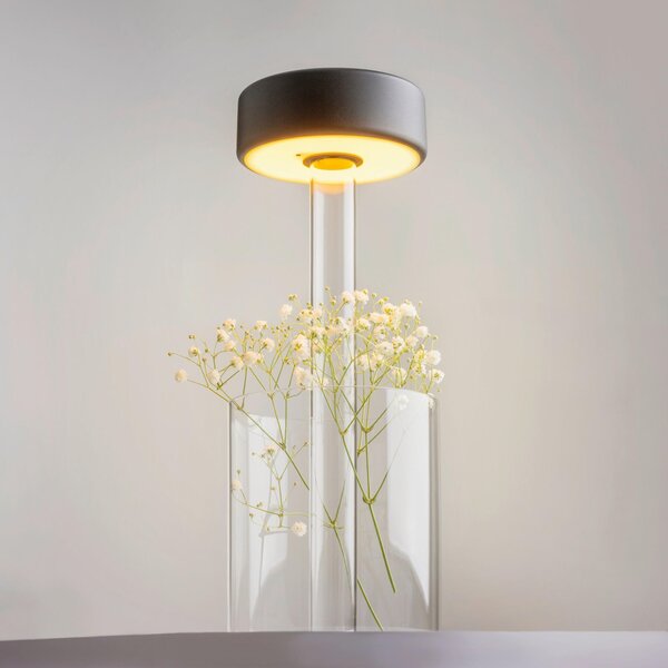 STOLNÍ LAMPA NA BATERIE, dotykový stmívač, 12/34,8 cm MAYTONI - Online Only svítidla, Online Only