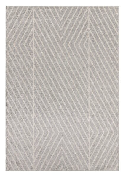 Světle šedý koberec 80x150 cm Muse – Asiatic Carpets