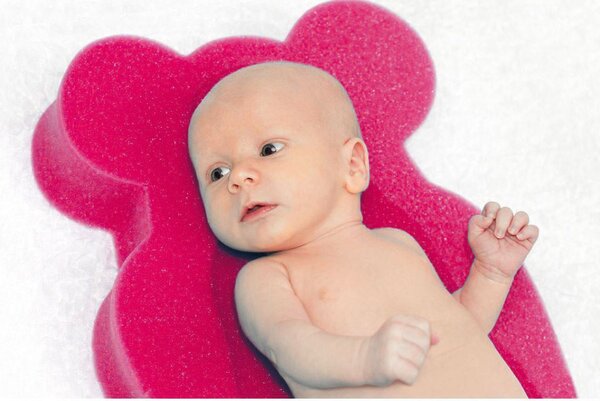 Pěnová podložka maxi New Baby BASIC medvěd červená