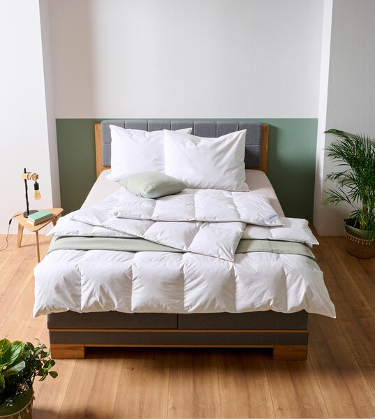 CELOROČNÍ PŘIKRÝVKA, 140/200 cm, peří, prachové peří Sleeptex - Přikrývky