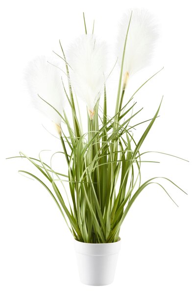 DEKORAČNÍ TRÁVA, 53 cm Ambia Home - Dekorační tráva