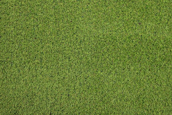 Betap, Umělá tráva Robina New, vyříznout kruh, šíře 2m,4m, zelená