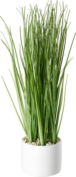 DEKORAČNÍ TRÁVA, 30 cm Ambia Home - Dekorační tráva