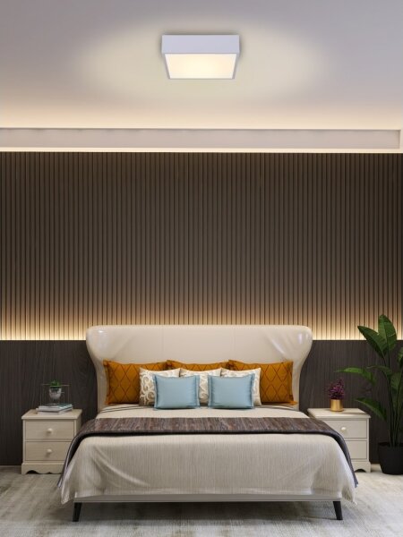 Immax NEO 07238L - LED Stmívatelné stropní svítidlo CANTO 22W/230V bílá Tuya +DO