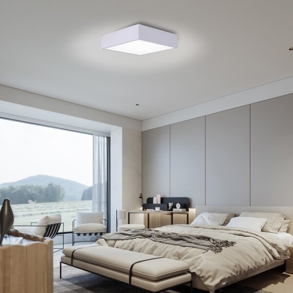 Immax NEO 07238L - LED Stmívatelné stropní svítidlo CANTO 22W/230V bílá Tuya +DO
