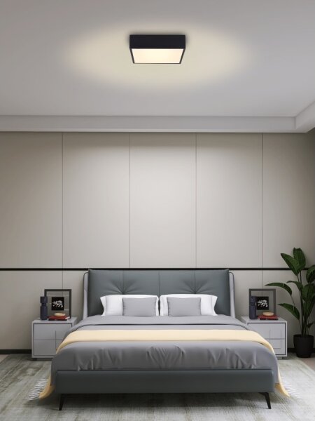 Immax NEO 07237L - LED Stmívatelné stropní svítidlo CANTO 22W/230V černá Tuya+DO