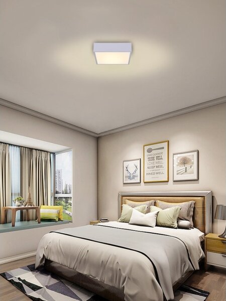 Immax NEO 07238L - LED Stmívatelné stropní svítidlo CANTO 22W/230V bílá Tuya +DO