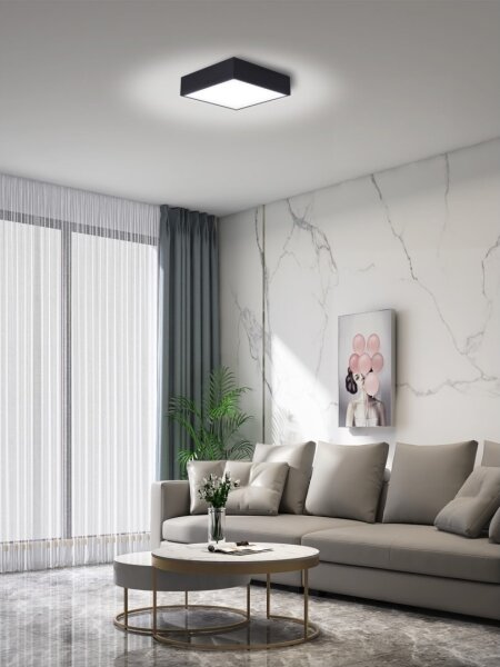 Immax NEO 07237L - LED Stmívatelné stropní svítidlo CANTO 22W/230V černá Tuya+DO