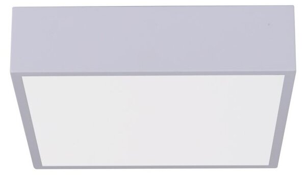 Immax NEO 07238L - LED Stmívatelné stropní svítidlo CANTO 22W/230V bílá Tuya +DO