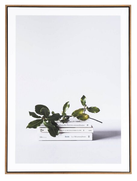 Obraz Somcasa Book 80 x 60 cm