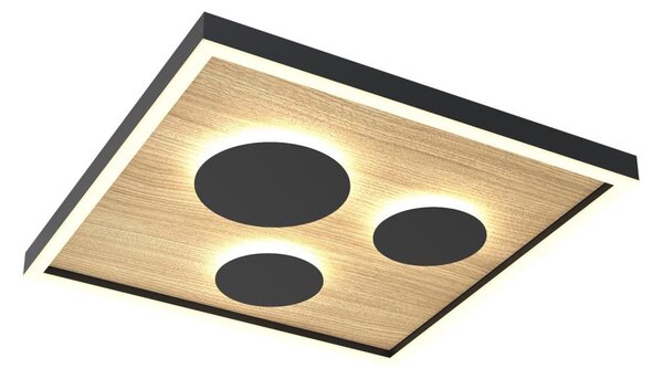 Wofi 9012-306S - LED Stmívatelné stropní svítidlo DIJON LED/26W/230V