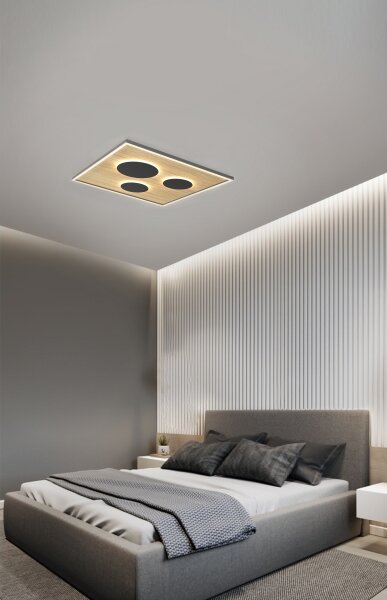 Wofi 9012-306L - LED Stmívatelné stropní svítidlo DIJON LED/40W/230V