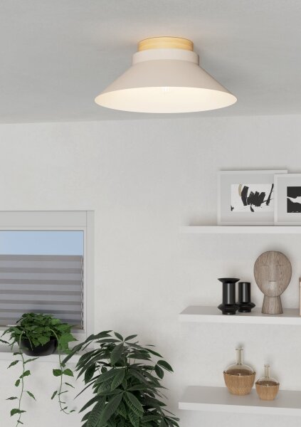 Eglo 900736 - Stropní svítidlo MOHARRAS 1xE27/40W/230V