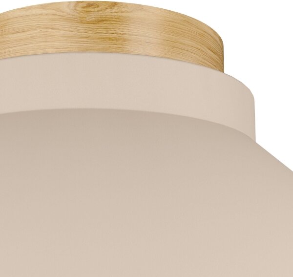 Eglo 900736 - Stropní svítidlo MOHARRAS 1xE27/40W/230V