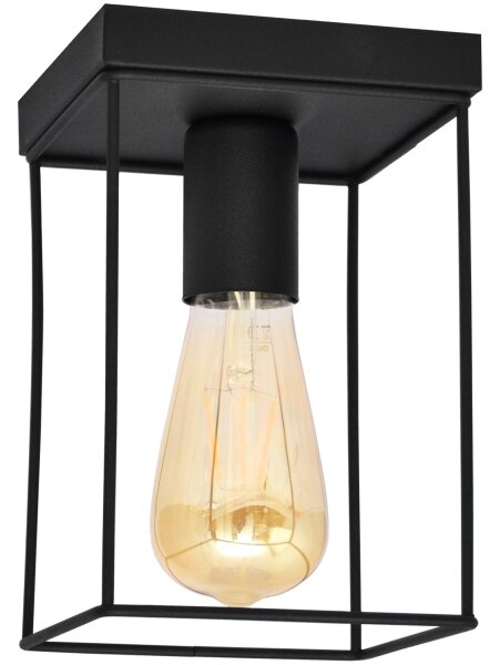 Stropní svítidlo FINN 1xE27/15W/230V černá