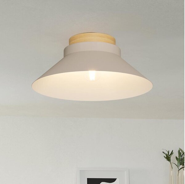 Eglo 900736 - Stropní svítidlo MOHARRAS 1xE27/40W/230V