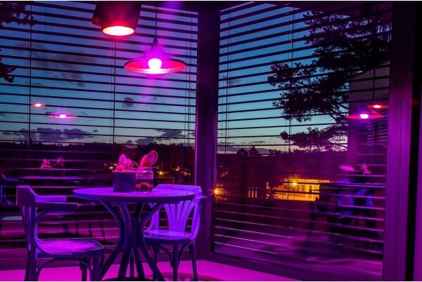 Immax NEO 07712L - LED RGB+CCT Stmívatelná žárovka NEO LITE E27/9W/230VWi-FiTuya