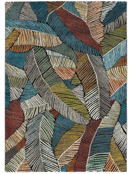 Universal XXI Koberec Koby 120 x 170 cm