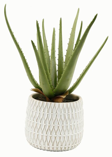 UMĚLÁ ROSTLINA 35 cm - Umělé rostliny, Online Only