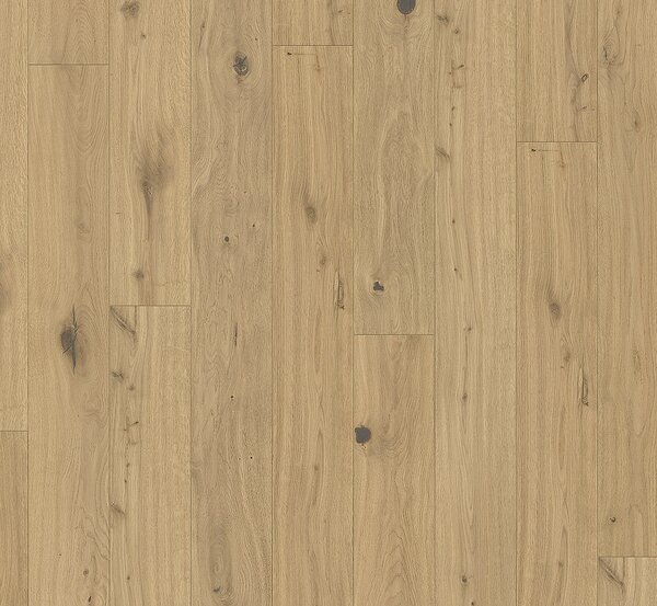 PARADOR Trendtime 8 Dub kalahari bílý 1751302 - 3.66 m2