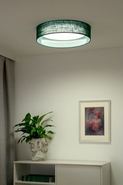Duolla - LED Stropní svítidlo ROLLER LED/24W/230V pr. 45 cm zelená