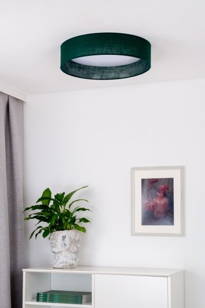 Duolla - LED Stropní svítidlo ROLLER LED/24W/230V pr. 45 cm zelená