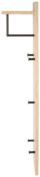 ŠATNÍ PANEL, černá, barvy dubu, 30/100/20 cm - Šatní panely, Online Only