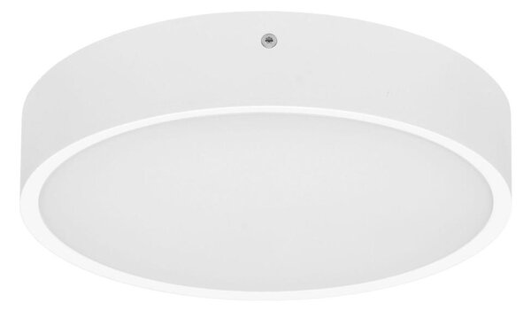 Ecolite WMAT300-15W/BI - LED Stropní svítidlo MARTIN LED/15W/230V IP65 bílá