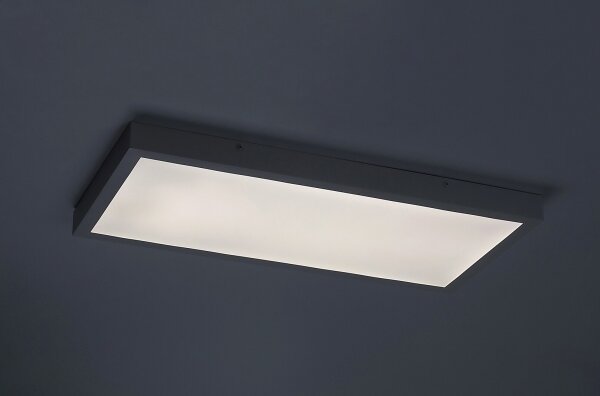Rabalux 71077 - LED Přisazený panel DAMEK LED/24W/230V 4000K 60x30 cm
