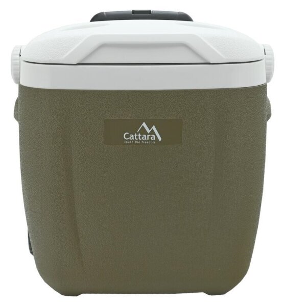 Pojízdný chladící box 16 l zelená