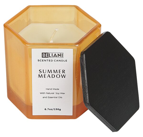 Vonná svíčka s aroma difuzérem CLASSY TINT Sojový vosk Svěží tóny