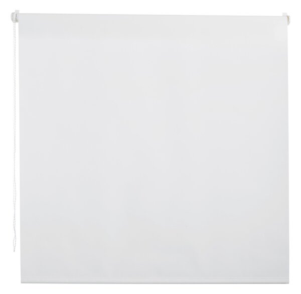ROLETA, poloprůhledné, 100/160 cm Boxxx - Rolety a žaluzie