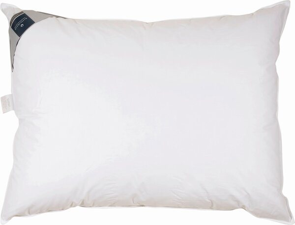 TŘÍKOMOROVÝ POLŠTÁŘ, 40/80 cm Billerbeck - Polštáře pod hlavu