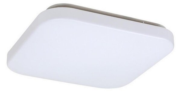 Rabalux 3340 - LED Stropní svítidlo ROB LED/20W/230V