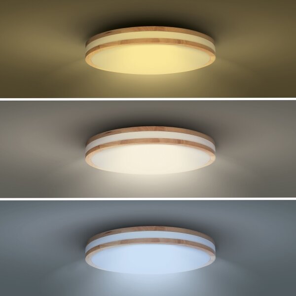 Solight WO8007 - LED Stm. svítidlo WOODY LED/48W/230V 3000-6500K pr. 38 cm + DO