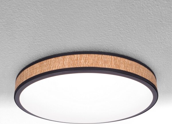Brilagi - LED Stmívatelné stropní svítidlo ROSA LED/48W/230V 3000-6500K + DO