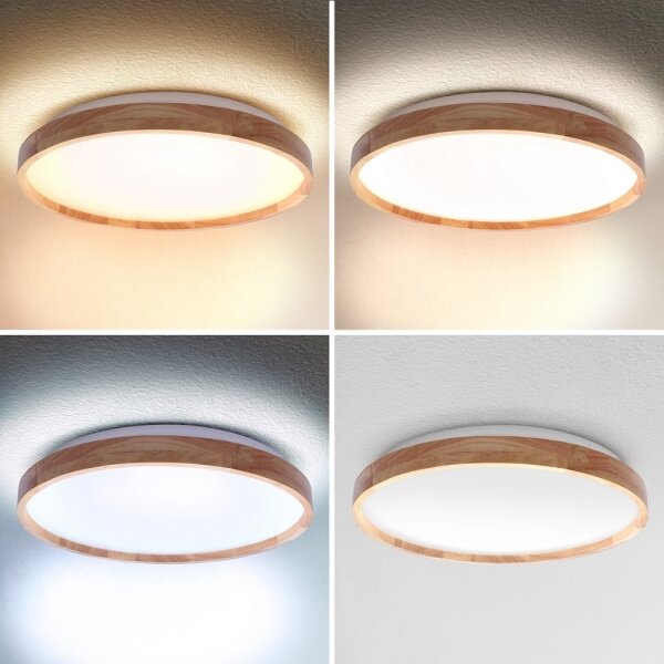 Brilagi - LED Stmívatelné stropní svítidlo ALSON LED/48W/230V 3000-6500K + DO