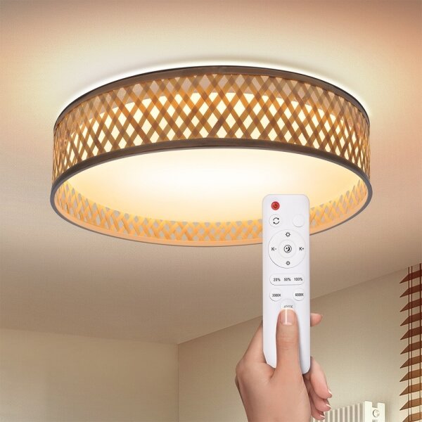 Brilagi - LED Stmívatelné stropní svítidlo CAMILA LED/48W/230V 3000-6500K + DO