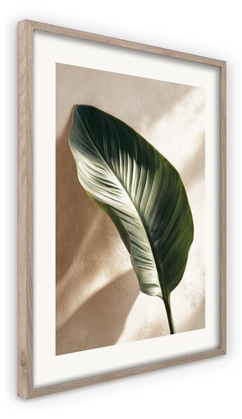 Tištěný obraz s rámem 50x70 cm Strelizia Leaf – Styler